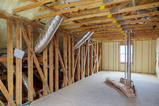 Best Insulation Removal  in Lumberton, MS